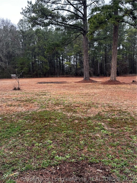 1970 Ava Road Autryville, NC 28318 - Photo 16 of 17 Gallery Image 16