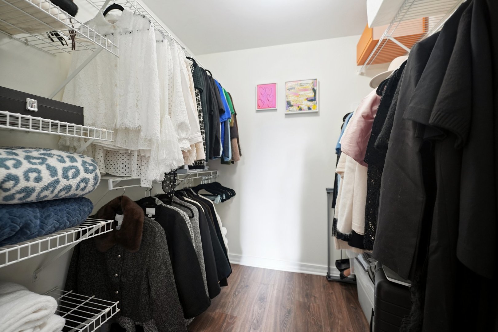 401 East Ontario Street, Unit 2506 Chicago, IL 60611 - Photo 12 of 12 a view of walk in closet with clothes and shoes