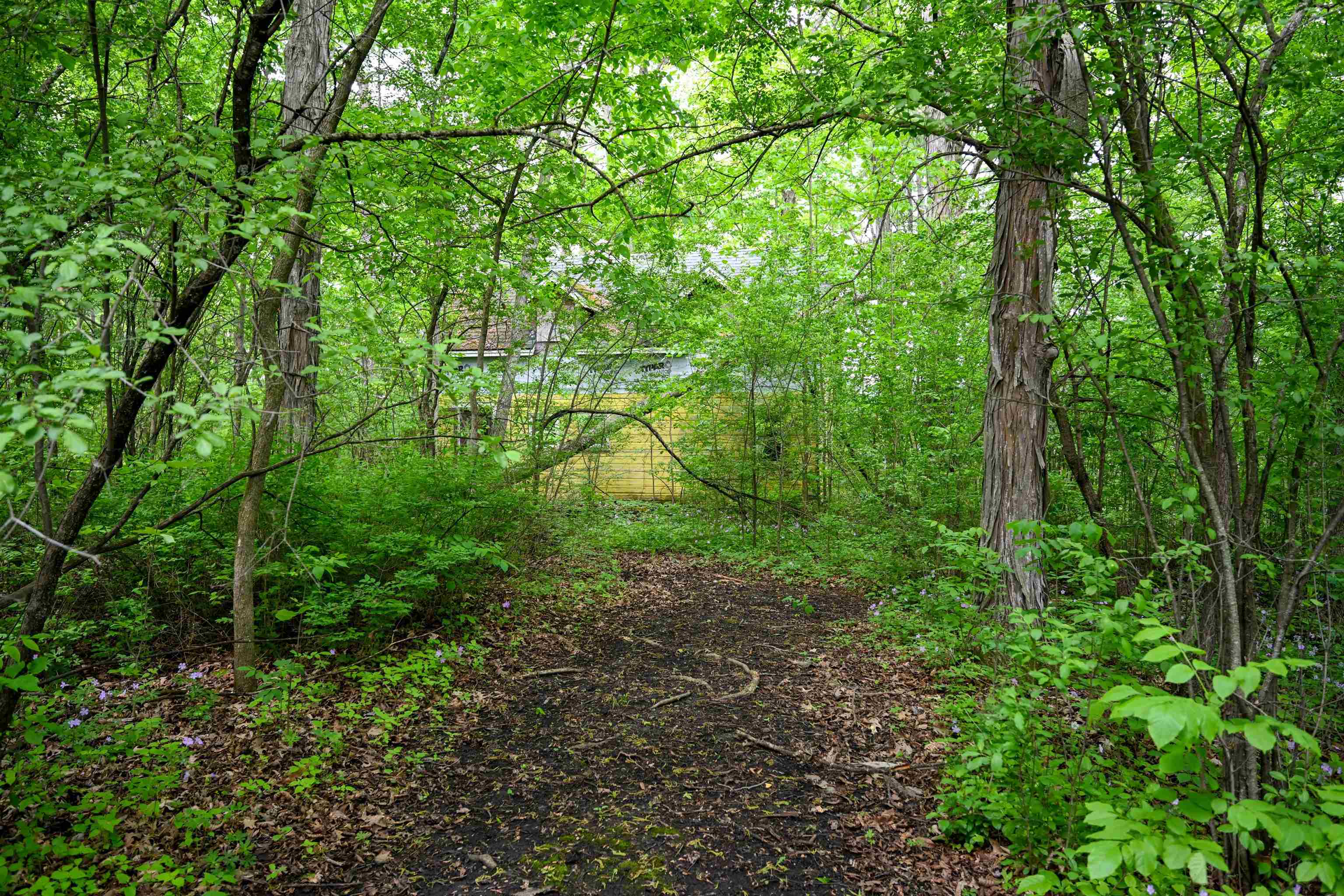 185 Holmes Lane Shoreham, VT 05770 - Photo 16 of 25