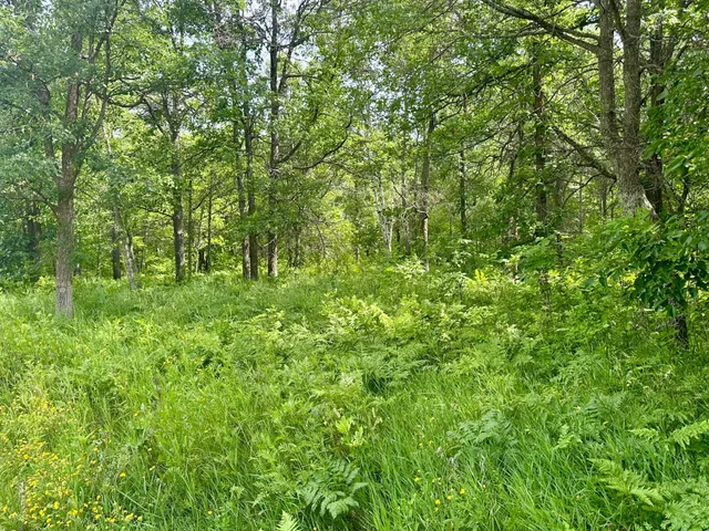 $39,000 | Lot 2-blk Eagle Drive Northwest, Walker, MN 56484