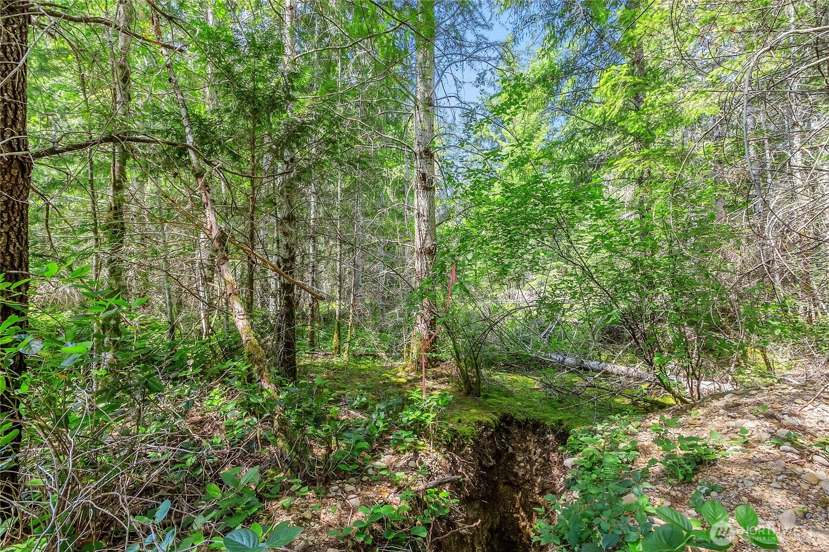 3791 Northeast Sand Hill Road Belfair, WA 98528 - Photo 26 of 32