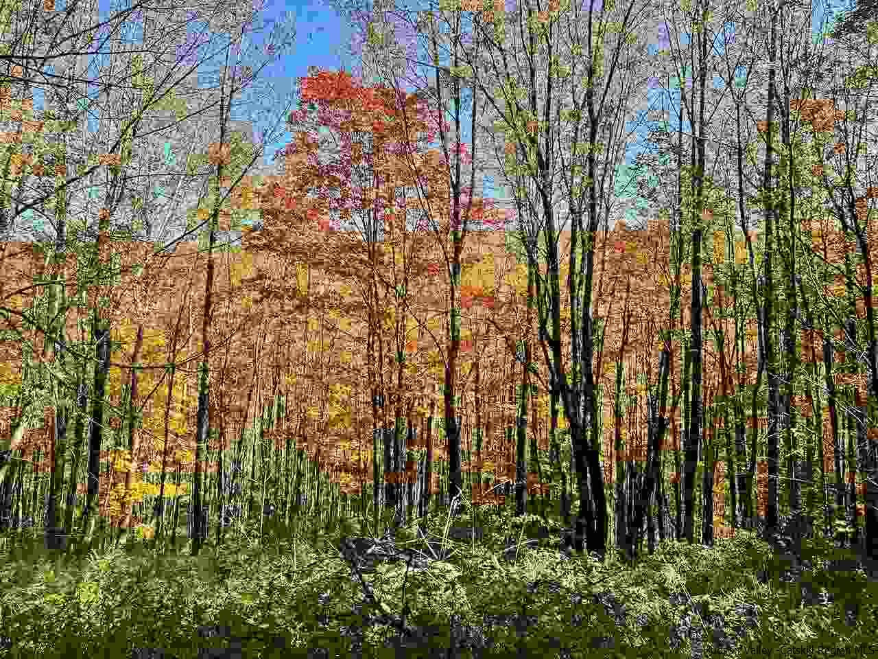 Tbd Tbd Keller Road Roscoe, NY 12776 - Photo 11 of 19 Photo 11