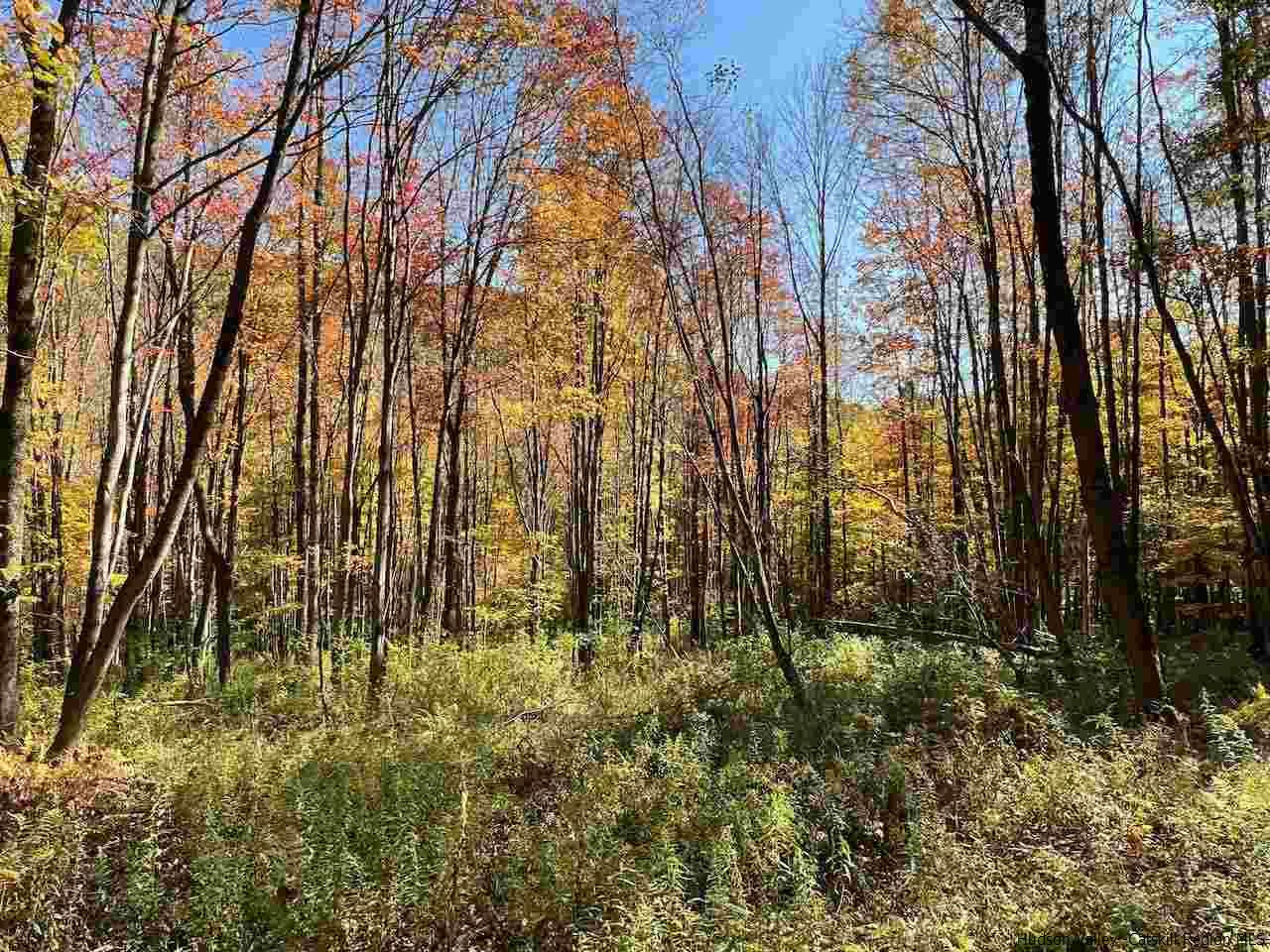 Tbd Tbd Keller Road Roscoe, NY 12776 - Photo 12 of 19 Photo 12