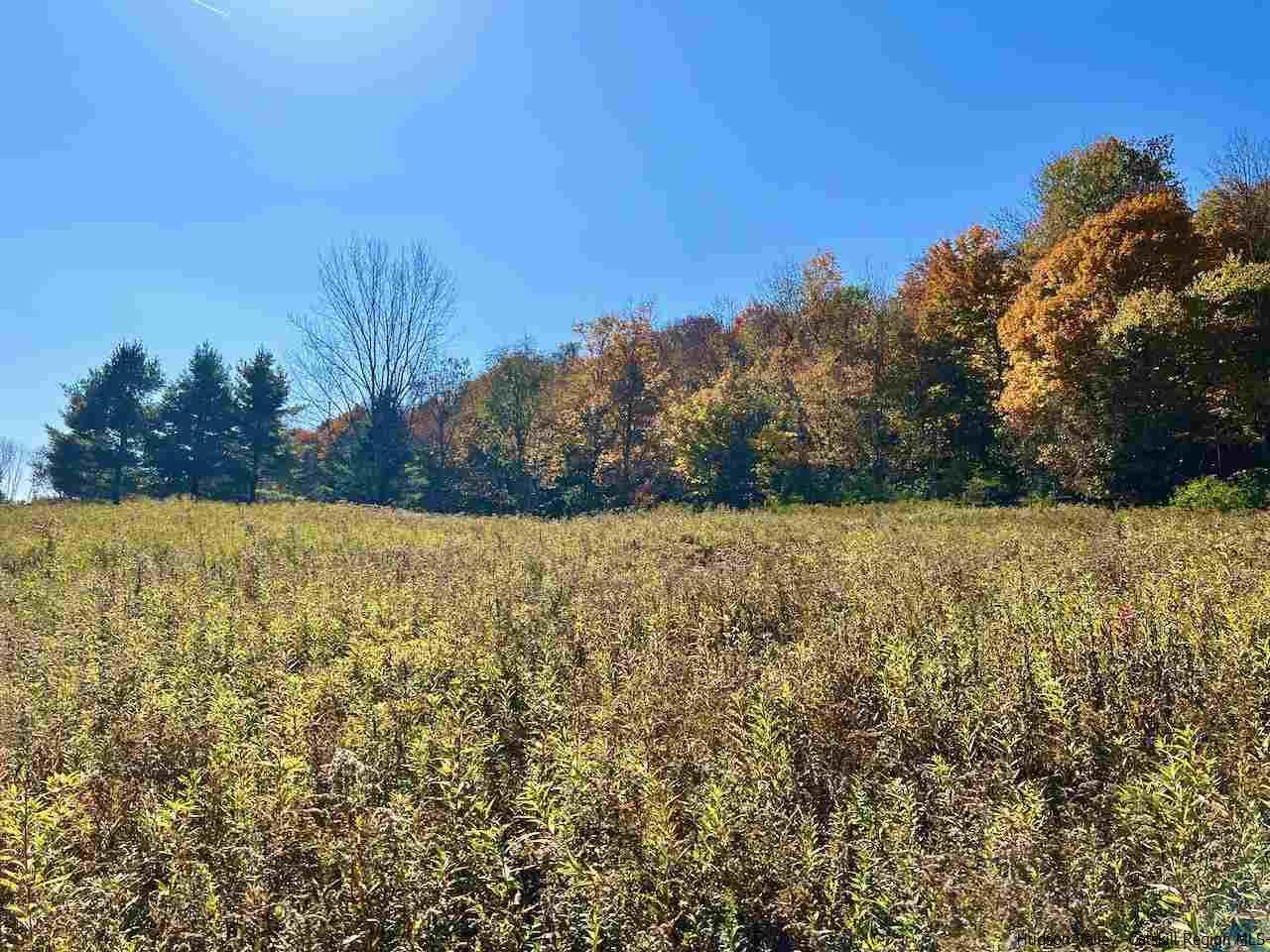 Tbd Tbd Keller Road Roscoe, NY 12776 - Photo 16 of 19 Photo 16