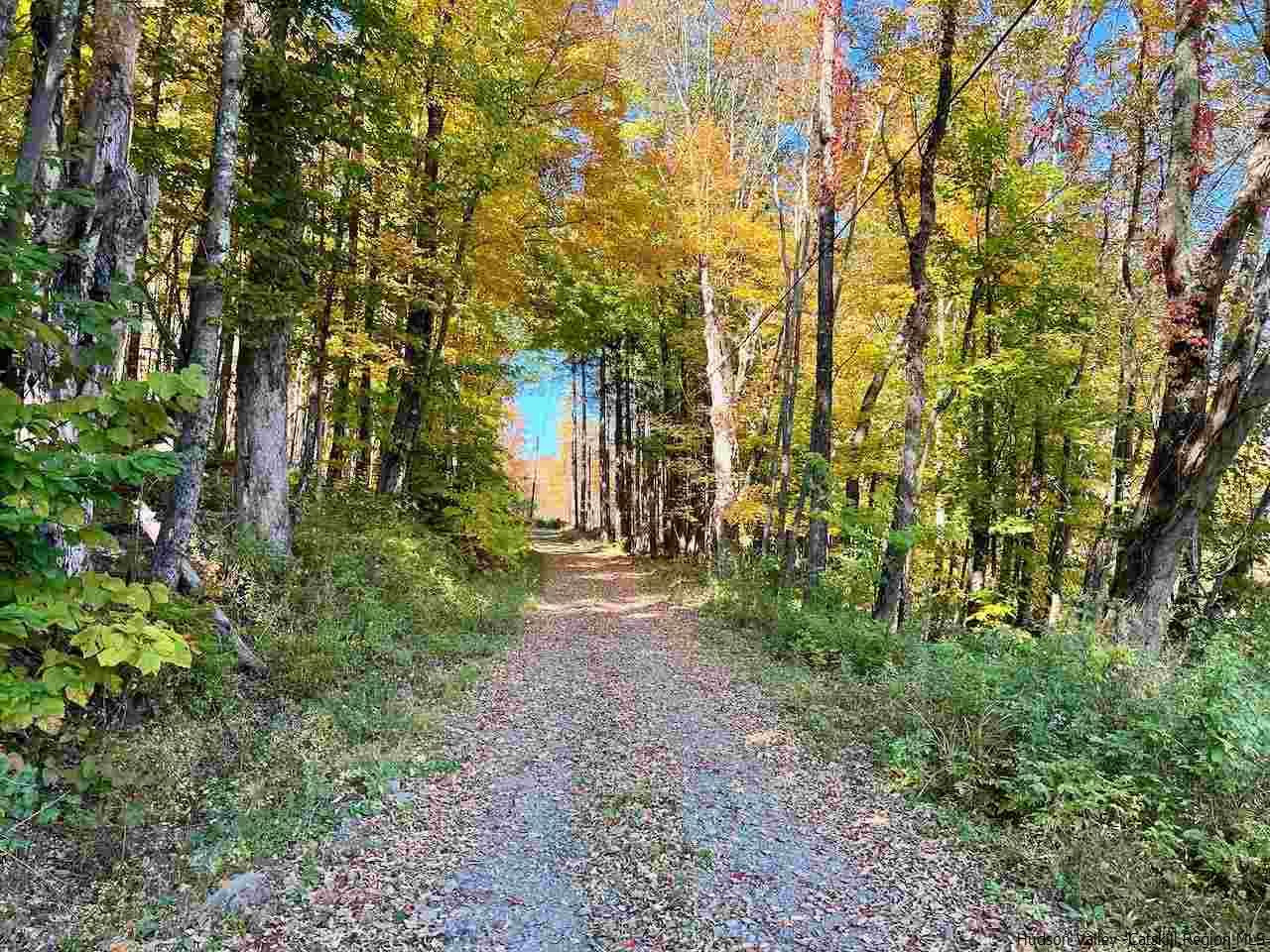 Tbd Tbd Keller Road Roscoe, NY 12776 - Photo 17 of 19 Photo 17