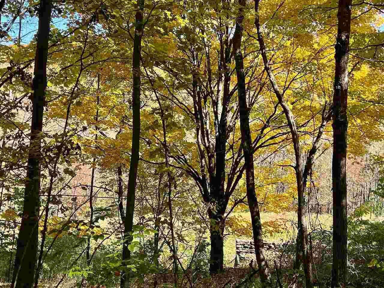 Tbd Tbd Keller Road Roscoe, NY 12776 - Photo 2 of 19 Photo 2