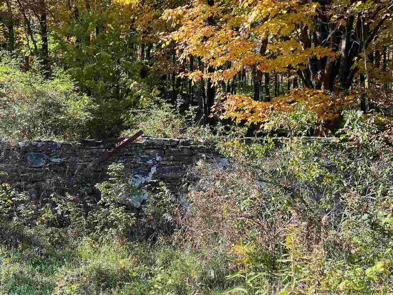 Tbd Tbd Keller Road Roscoe, NY 12776 - Photo 3 of 19 Photo 3