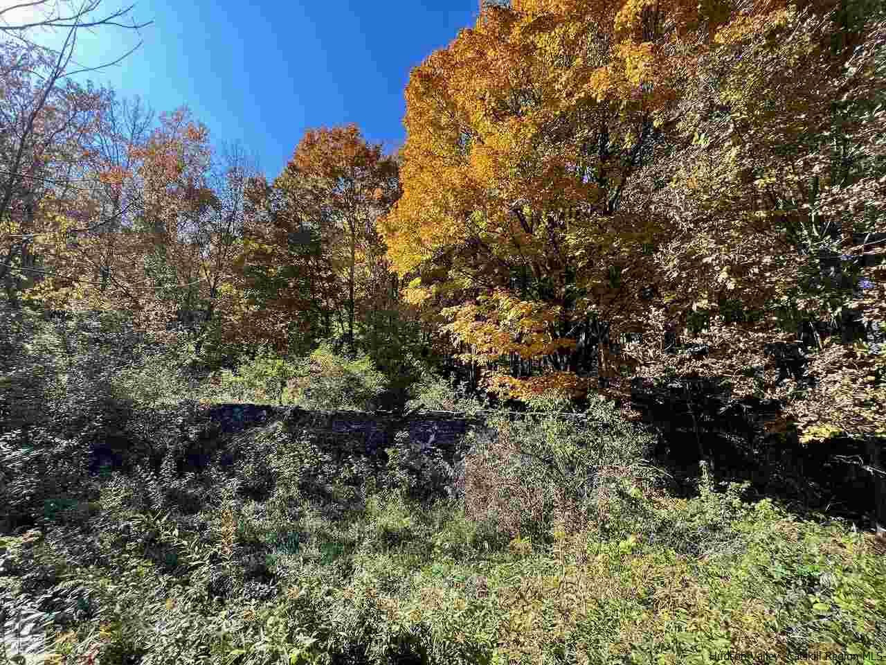 Tbd Tbd Keller Road Roscoe, NY 12776 - Photo 4 of 19 Photo 4