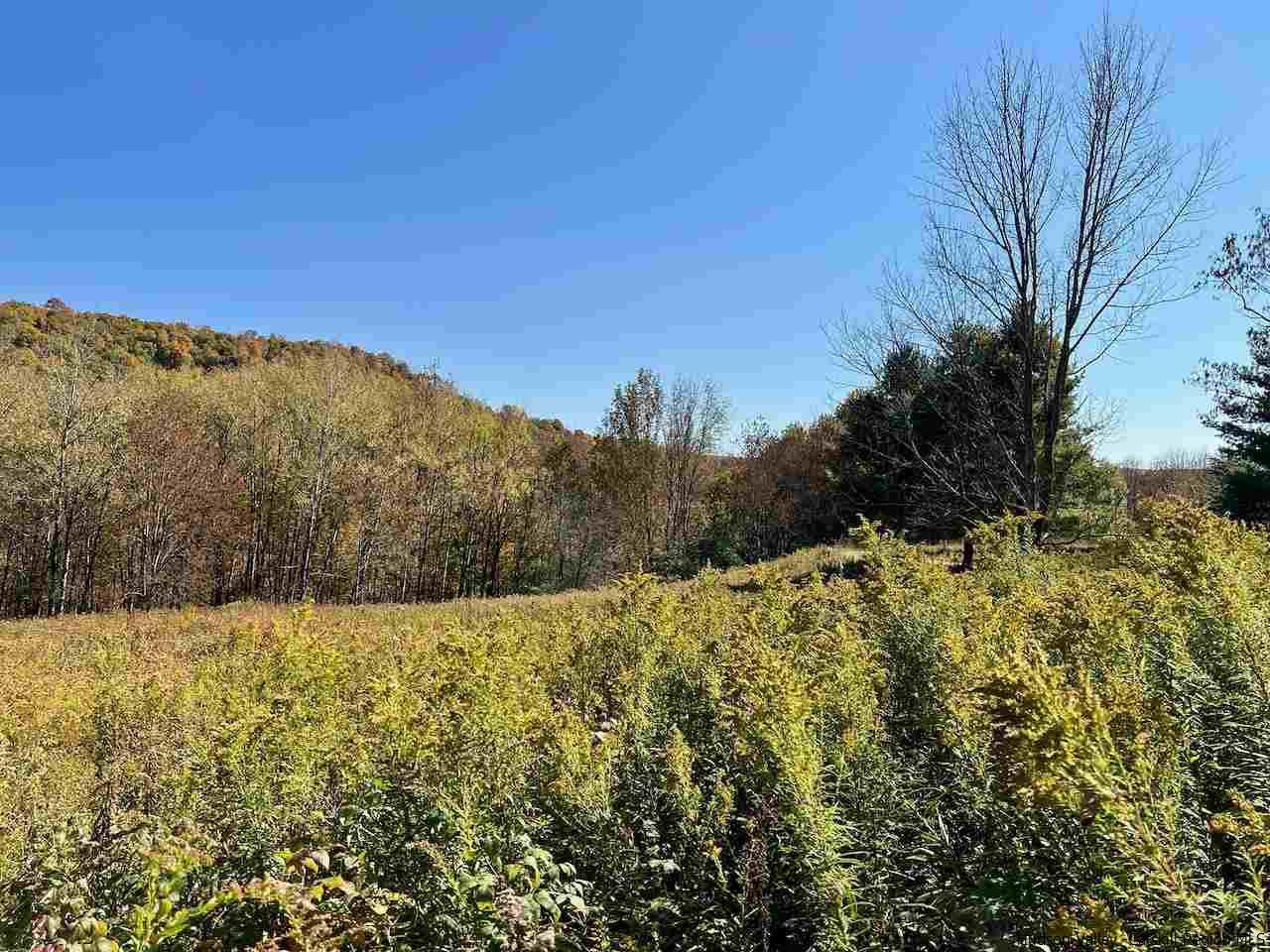 Tbd Tbd Keller Road Roscoe, NY 12776 - Photo 5 of 19 Photo 5