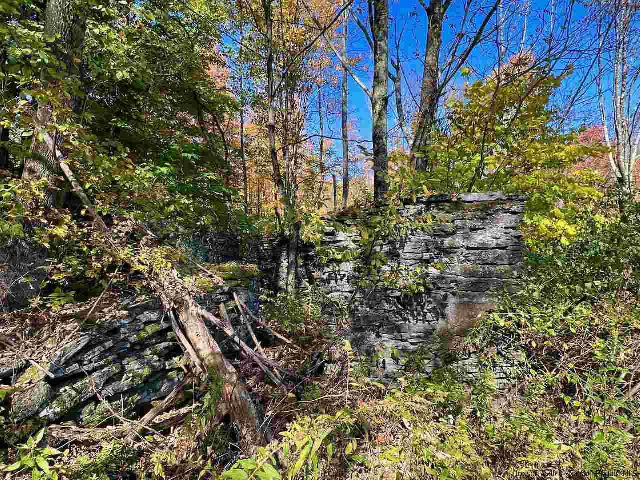 Tbd Tbd Keller Road Roscoe, NY 12776 - Photo 6 of 19 Photo 6