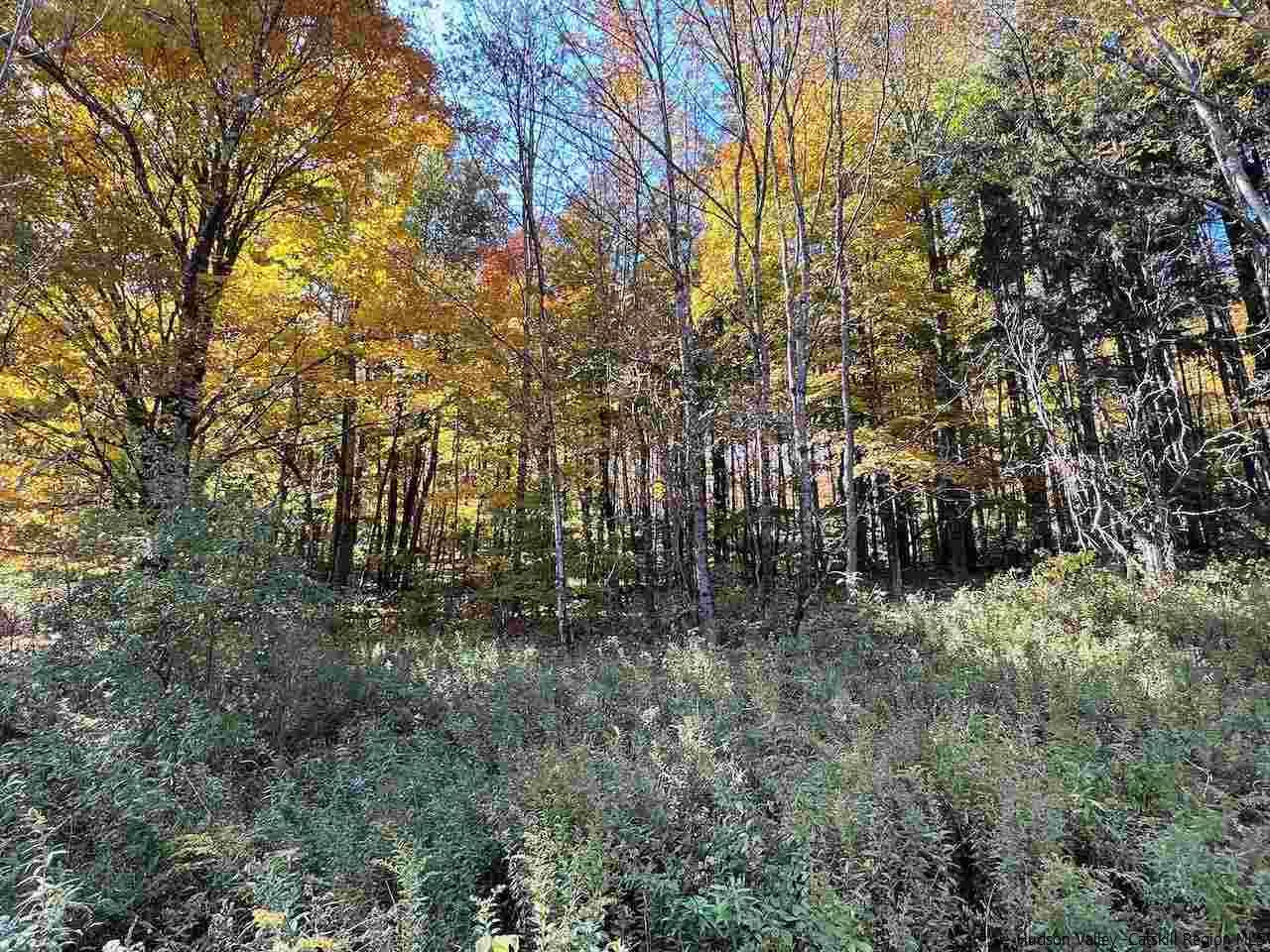 Tbd Tbd Keller Road Roscoe, NY 12776 - Photo 7 of 19 Photo 7