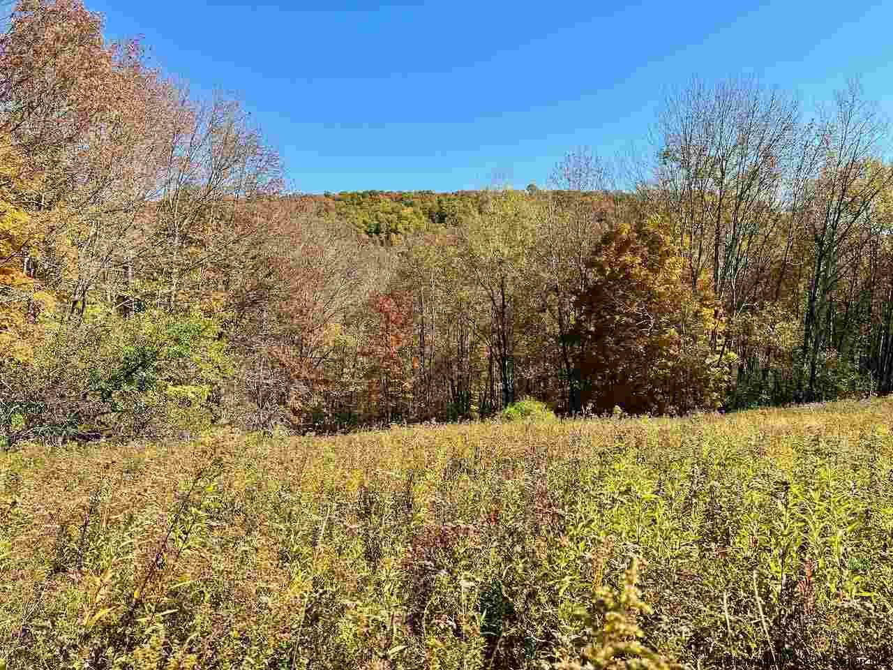 Tbd Tbd Keller Road Roscoe, NY 12776 - Photo 8 of 19 Photo 8