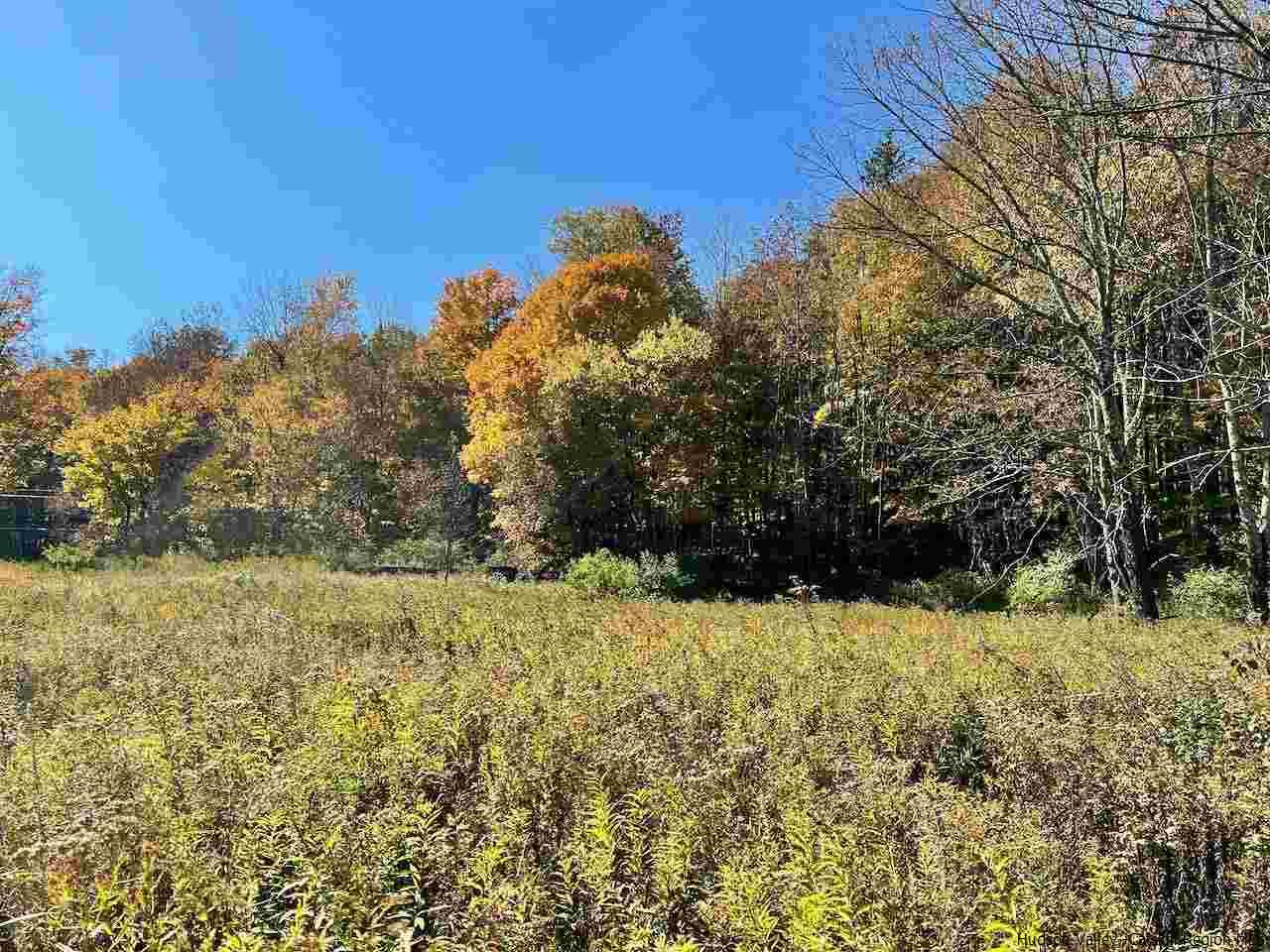 Tbd Tbd Keller Road Roscoe, NY 12776 - Photo 9 of 19 Photo 9