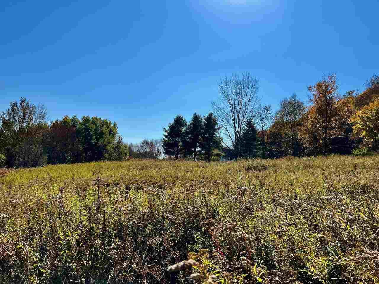 Tbd Tbd Keller Road Roscoe, NY 12776 - Photo 10 of 19 Photo 10