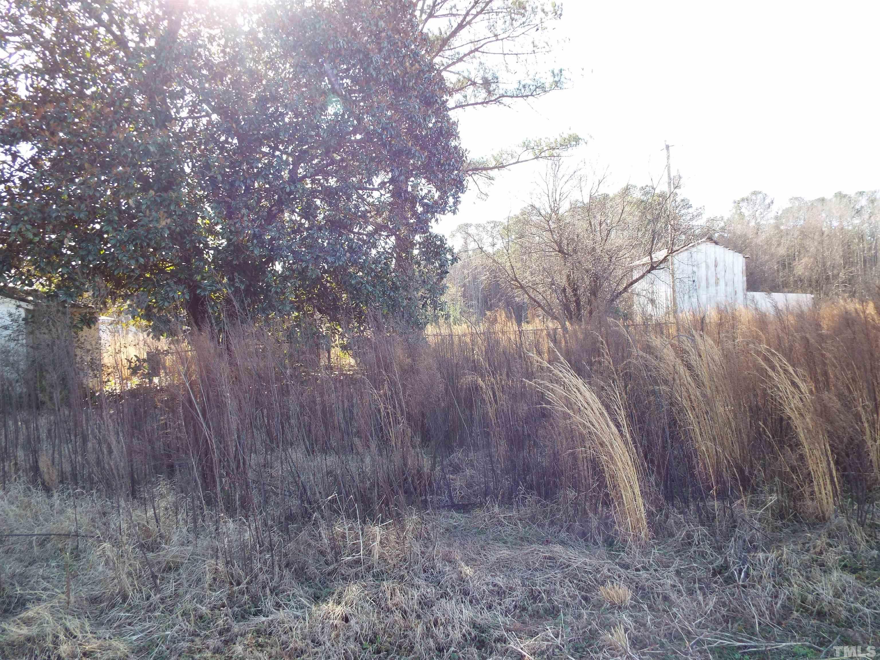 99 Starline Road Selma, NC 27576 - Photo 3 of 17 Gallery Image 3