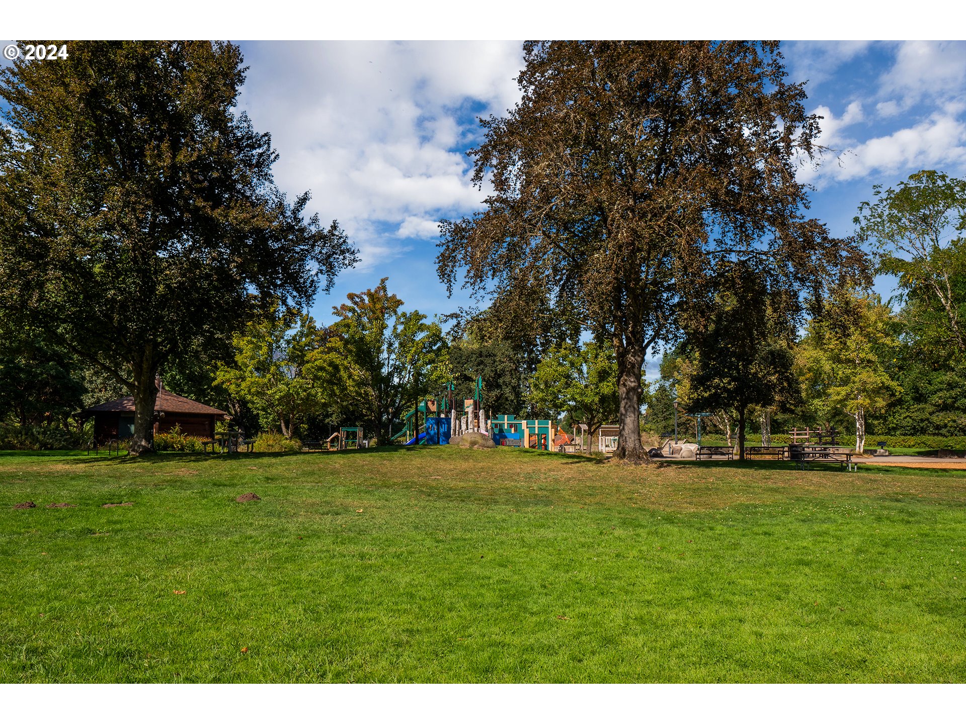 327 Clark Street Eugene, OR 97401 - Photo 40 of 42 a backyard of a house with lots of green space