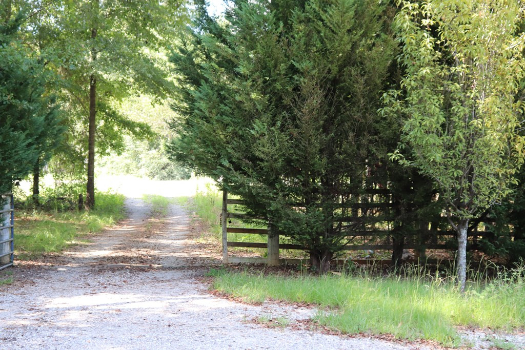 351 Mark Walden Road Blythe, GA 30805 - Photo 2 of 27 Gallery Image 2