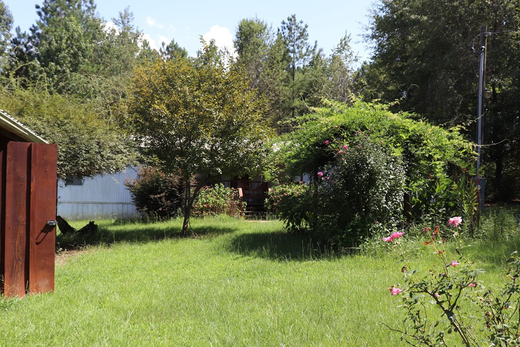 351 Mark Walden Road Blythe, GA 30805 - Photo 6 of 27 Gallery Image 6