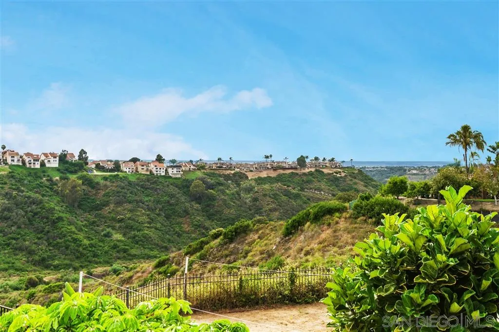 1790 Hawk View Drive Encinitas, CA 92024 - Photo 23 of 25 a view of a bunch of trees