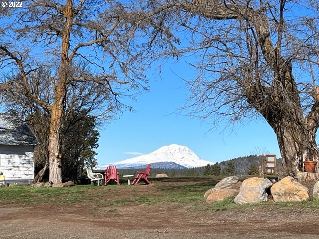 a view of a outdoor space with a large tree