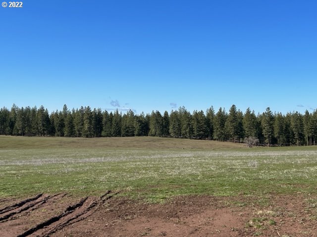 537 Cedar Valley Road Goldendale, WA 98620 - Photo 11 of 24 a view of an outdoor space and trees