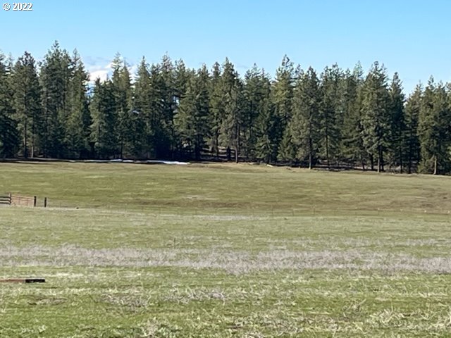 537 Cedar Valley Road Goldendale, WA 98620 - Photo 13 of 24 a view of a green field with trees in the background
