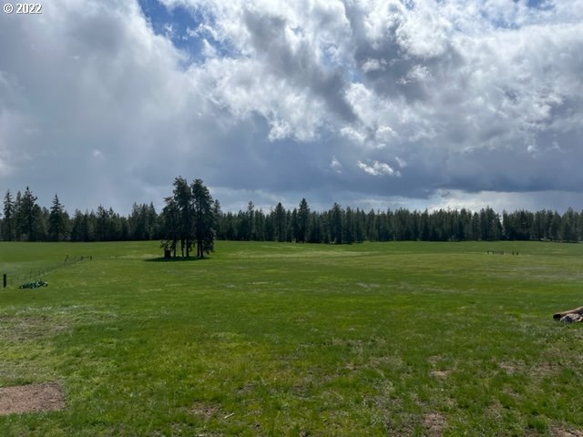 537 Cedar Valley Road Goldendale, WA 98620 - Photo 14 of 24 a view of building with garden and trees in the background