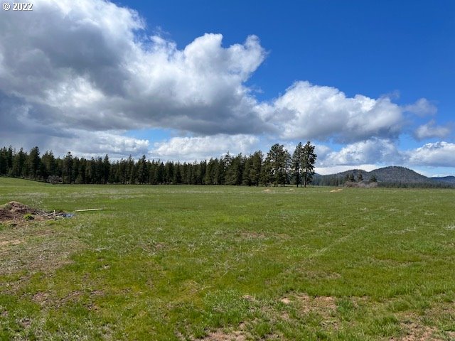 537 Cedar Valley Road Goldendale, WA 98620 - Photo 15 of 24 a view of a lake from a yard