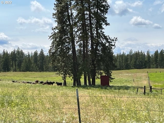 537 Cedar Valley Road Goldendale, WA 98620 - Photo 16 of 24 a view of a lake with a yard