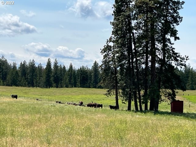 537 Cedar Valley Road Goldendale, WA 98620 - Photo 17 of 24 a view of a golf course with a house