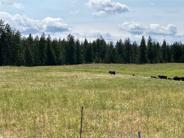 537 Cedar Valley Road Goldendale, WA 98620 - Photo 18 of 24 a view of outdoor space with garden and trees