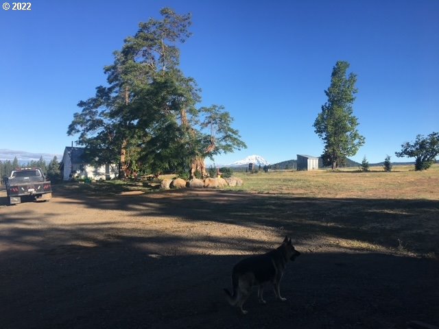 537 Cedar Valley Road Goldendale, WA 98620 - Photo 19 of 24 a view of street next to a yard