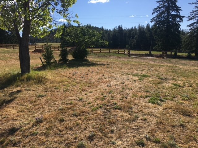 537 Cedar Valley Road Goldendale, WA 98620 - Photo 24 of 24 a view of a yard with a tree