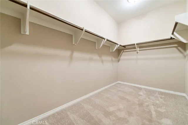 a view of a flower in a yard with swimming pool