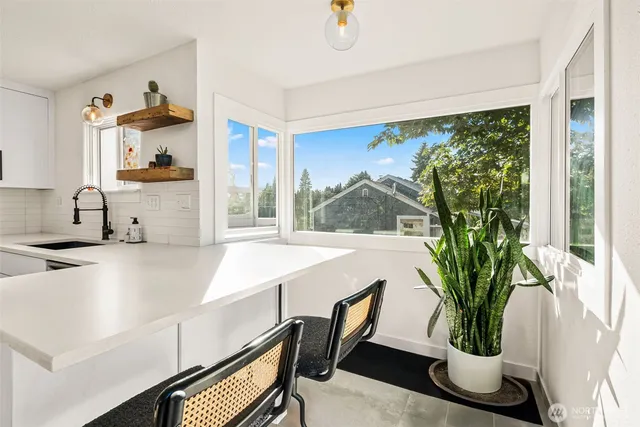 a view of a flower pot and a sink