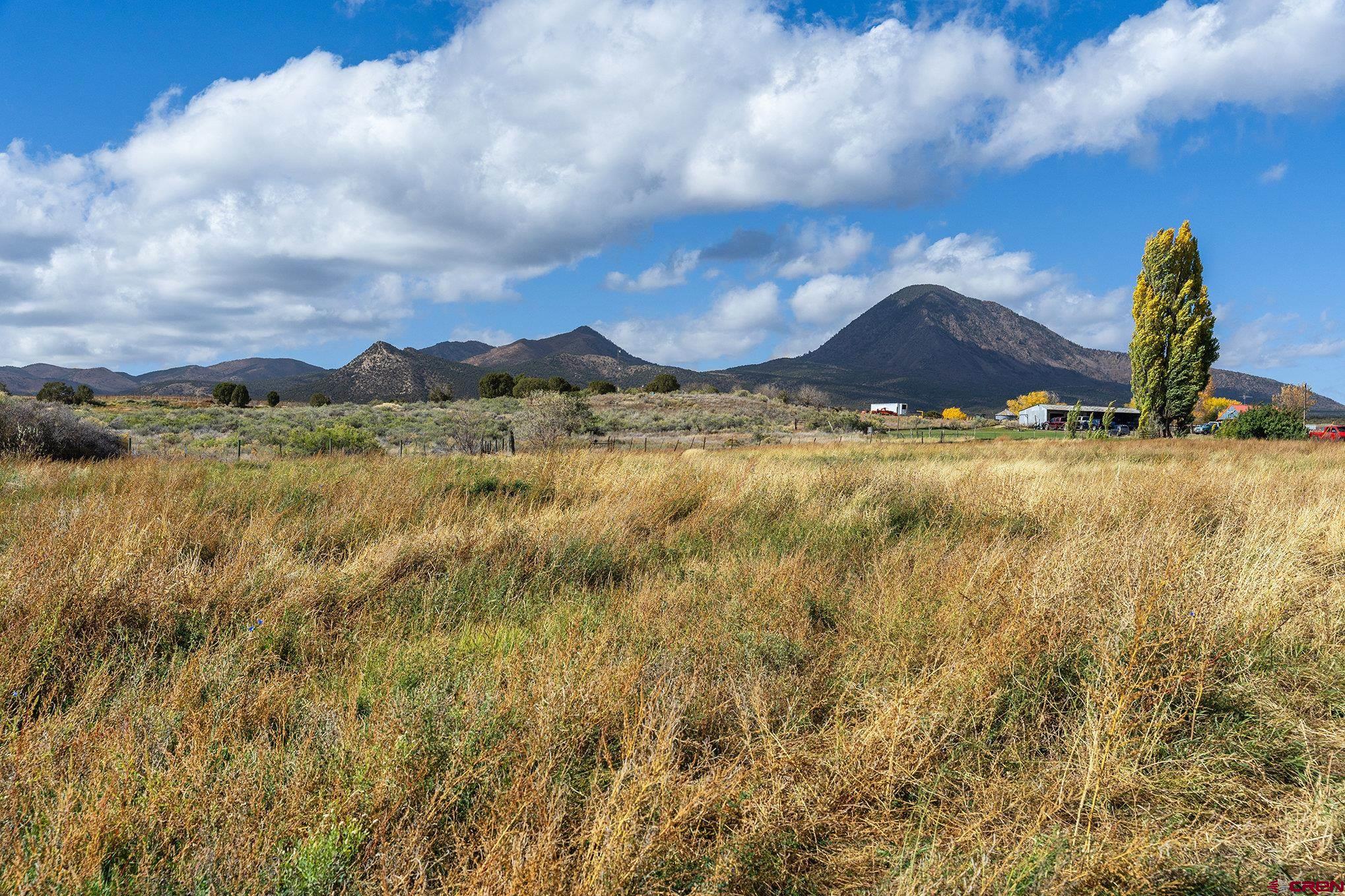 2997 20.5 Road Cortez, CO 81321 - Photo 19 of 27 Gallery Image 19
