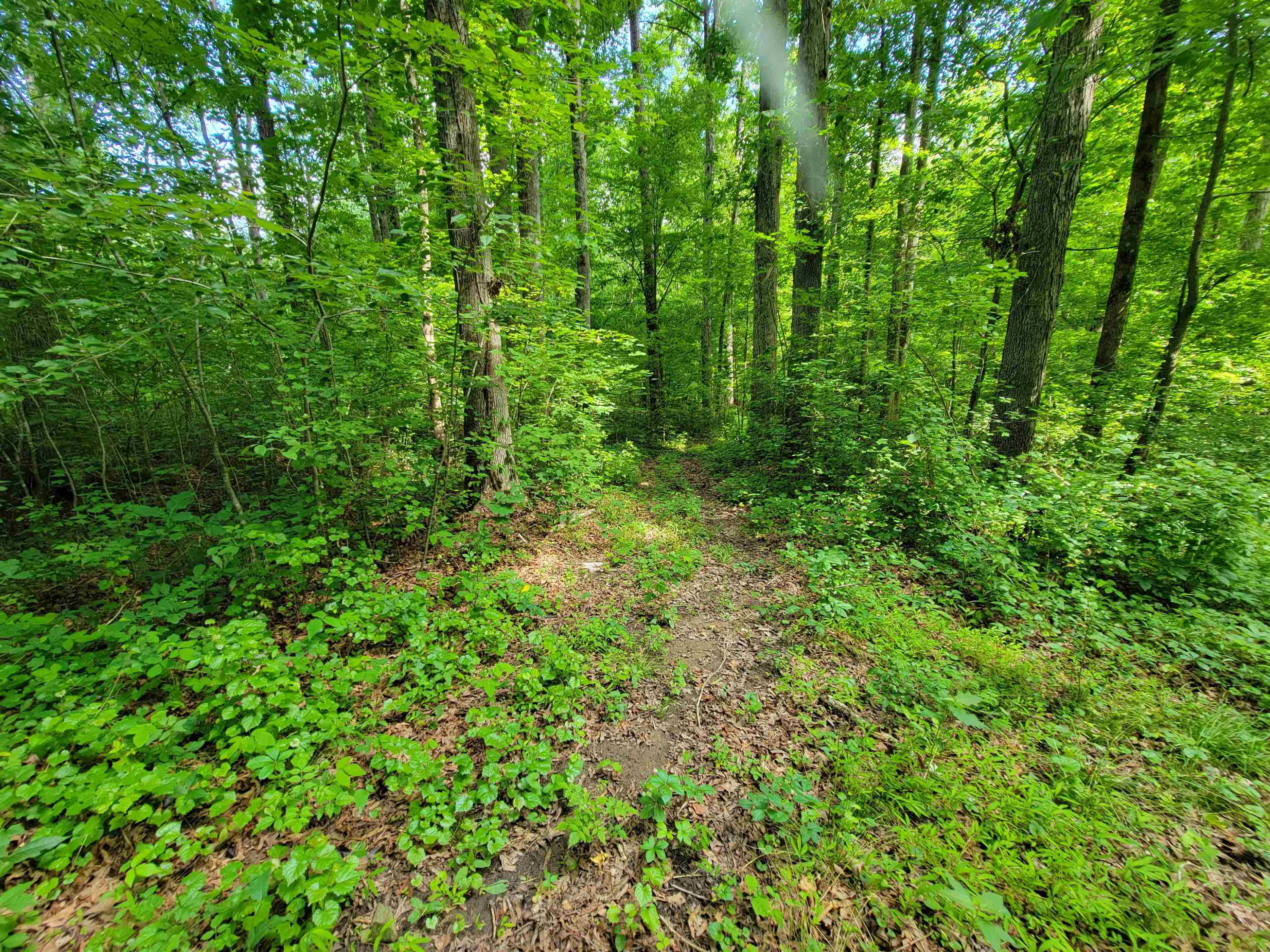 6400 Robertson Pond Road Wendell, NC 27591 - Photo 26 of 33 Photo 26