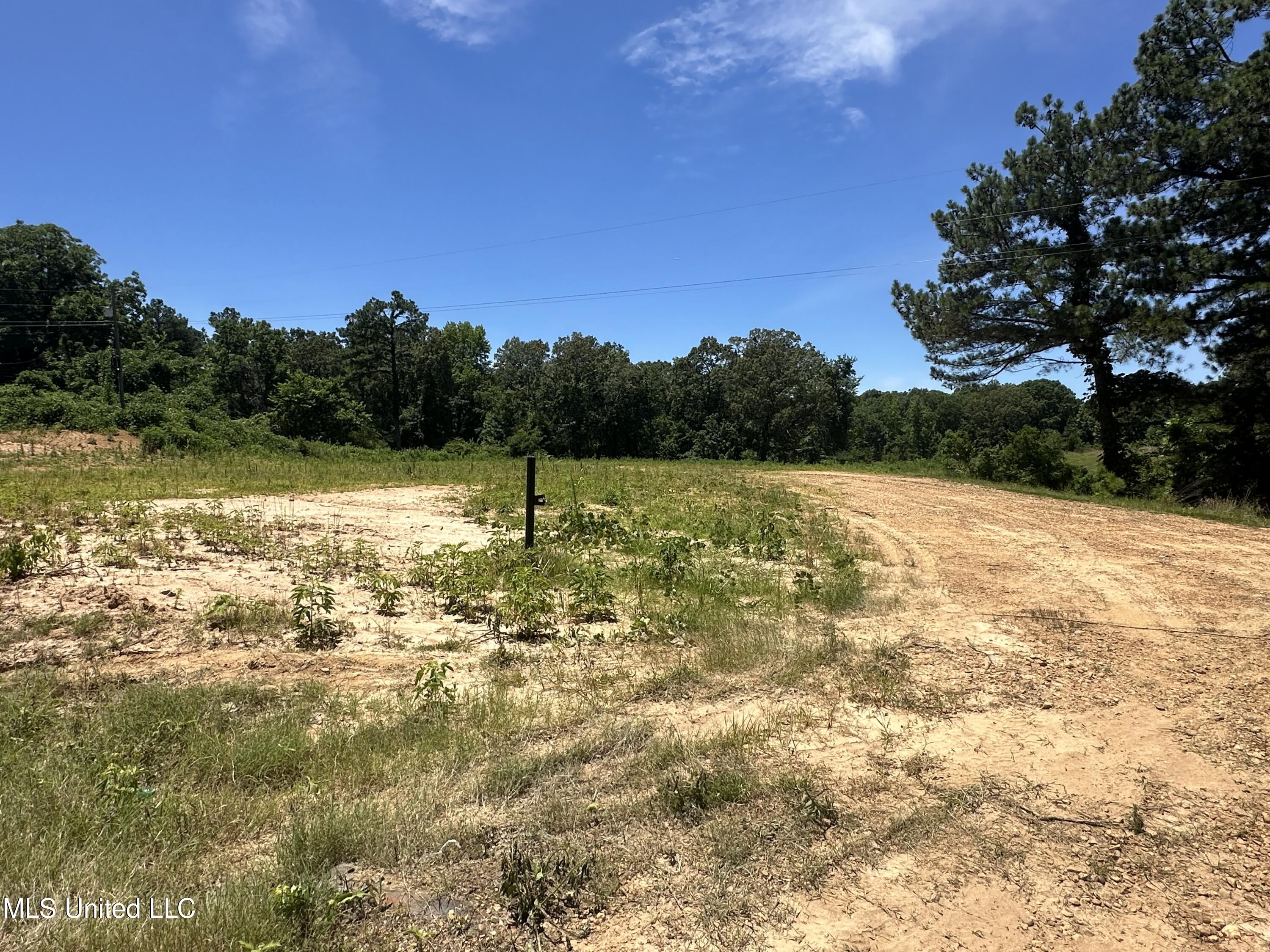 3 Old Memphis Oxford Road Coldwater, MS 38618 - Photo 2 of 8 IMG_9520