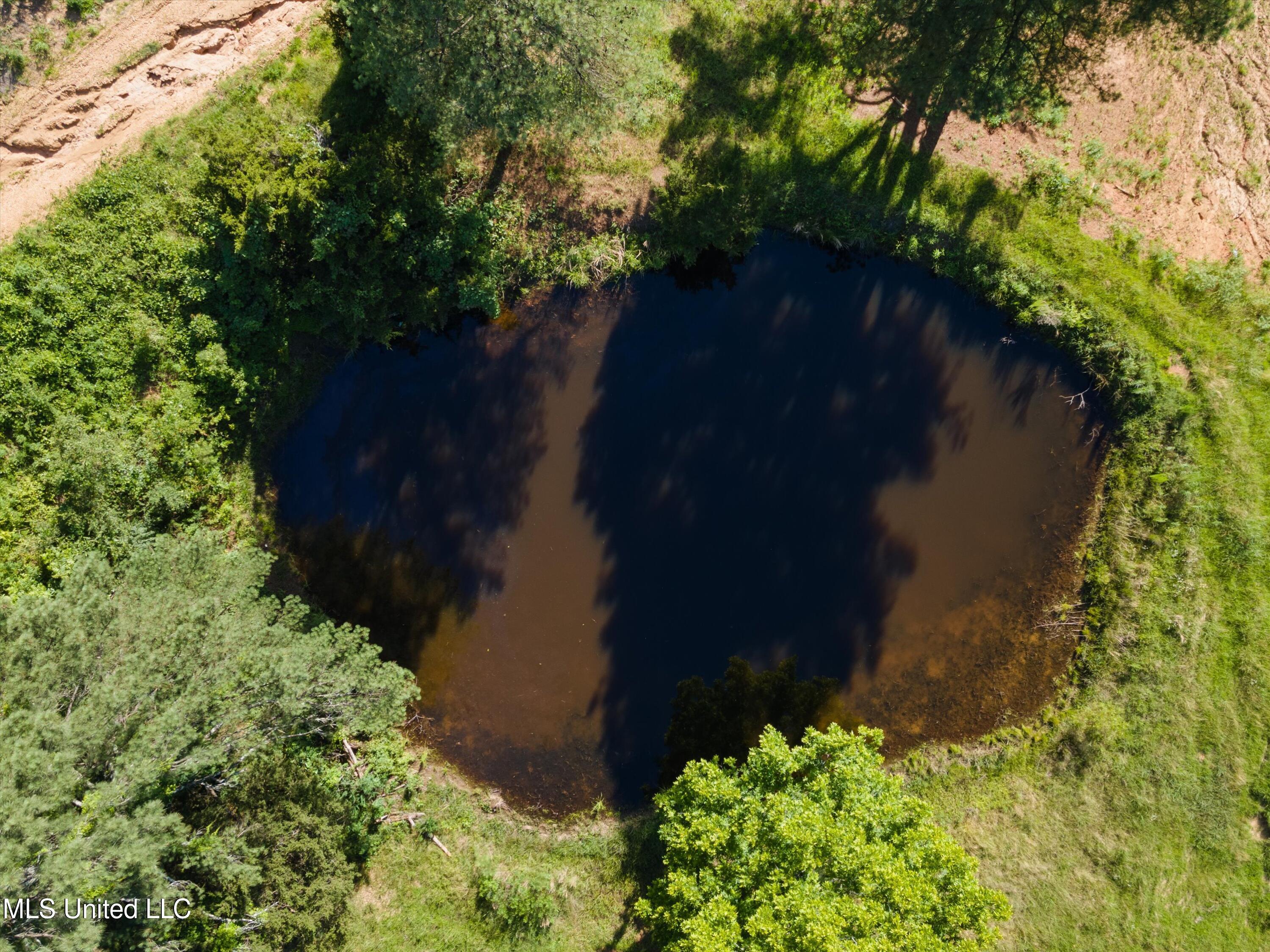 3 Old Memphis Oxford Road Coldwater, MS 38618 - Photo 7 of 8 12-DJI_0656