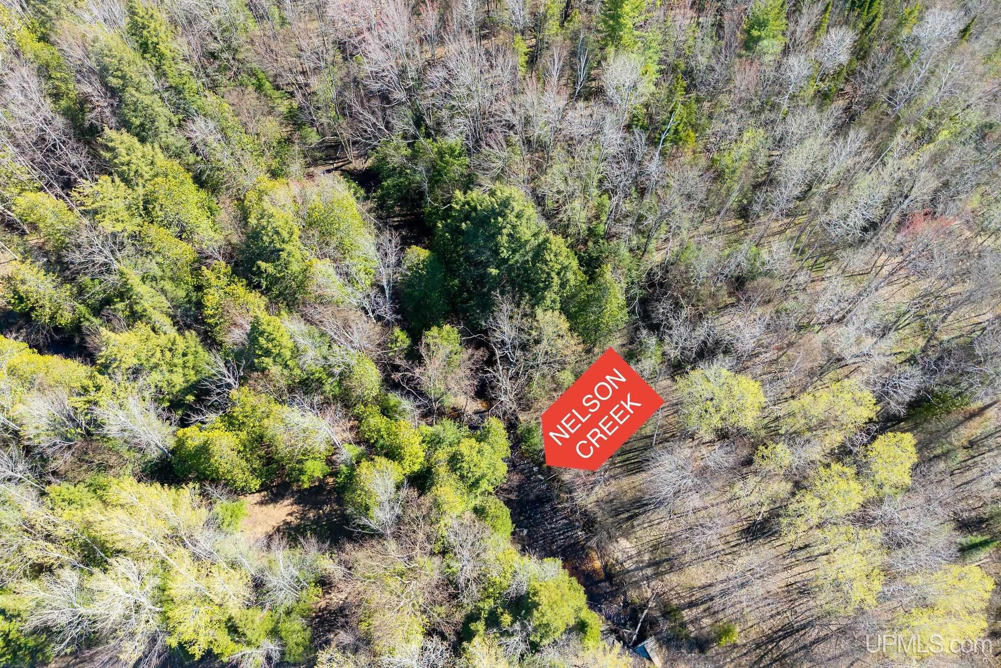 Tbd Tbd Town Hall Road Skandia, MI 49885 - Photo 23 of 23