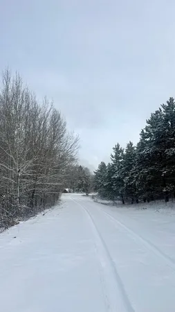 $289,000 | 29284 McHugh Road, Detroit Lakes, MN 56501