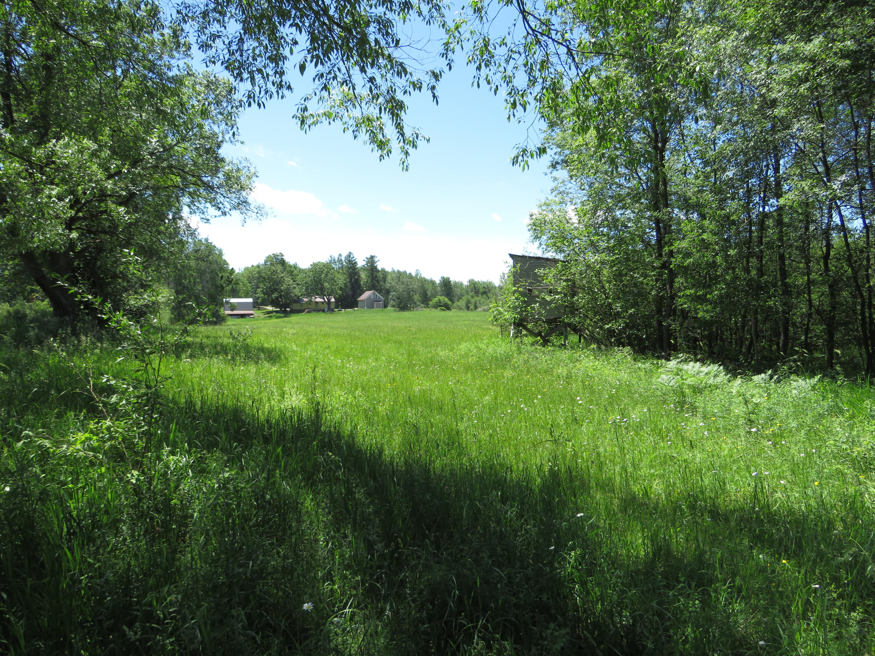 17 17 Mile Road Marion, MI 49665 - Photo 43 of 54 IMG_6813