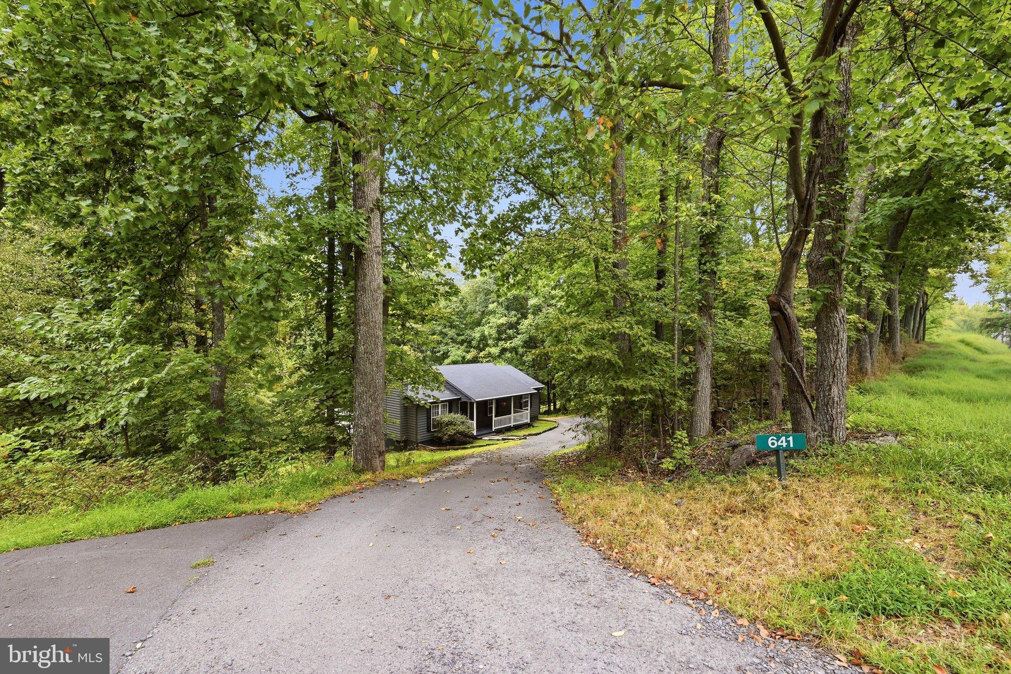 641 Salt Lick Road Front Royal, VA 22630 - Photo 34 of 43 Driveway