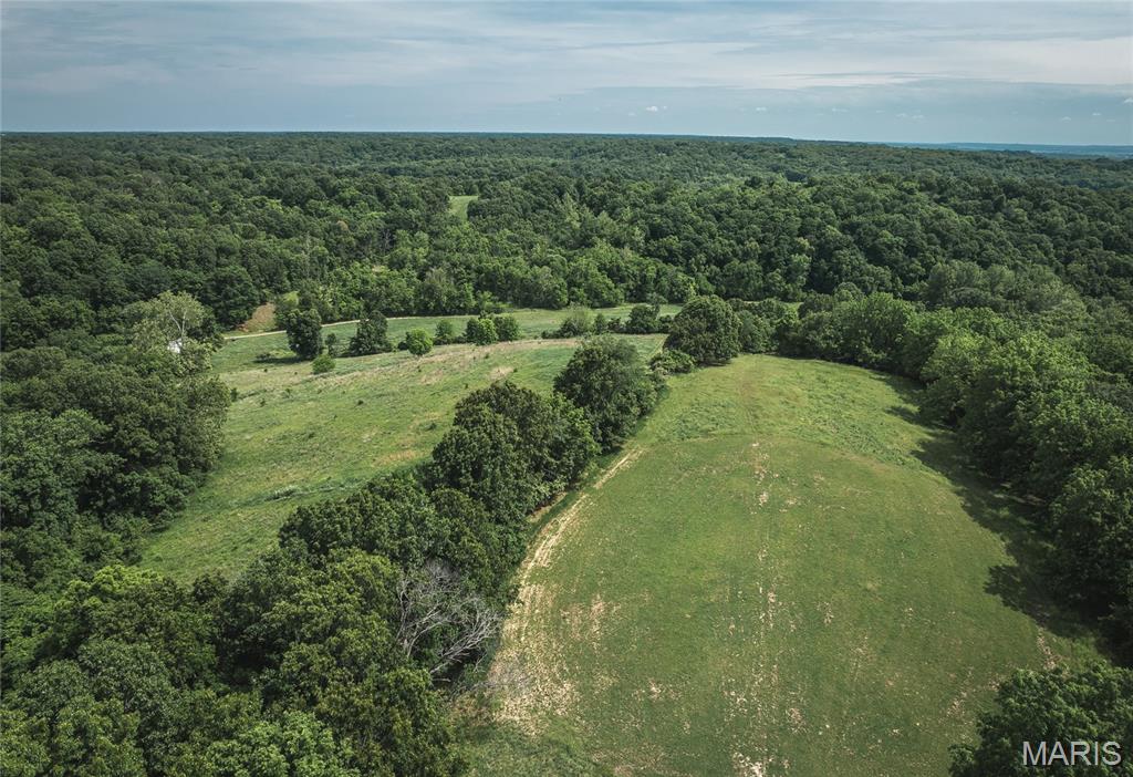 1757 Infidel Hollow Road Mozier, IL 62070 - Photo 27 of 52