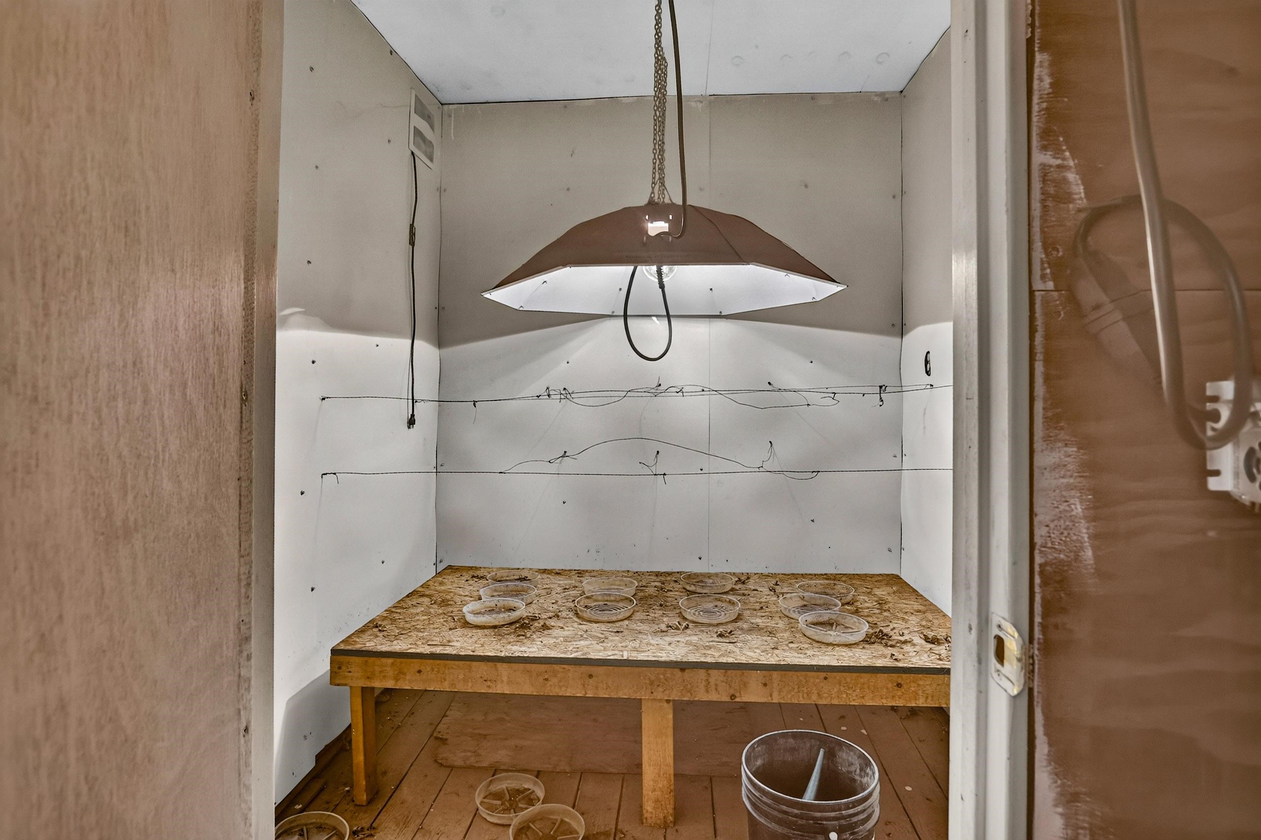 4395 South Grove Road St. Johns, MI 48879 - Photo 64 of 84