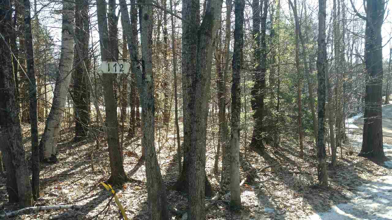 67 Valley Road Dublin, NH 03444 - Photo 3 of 3