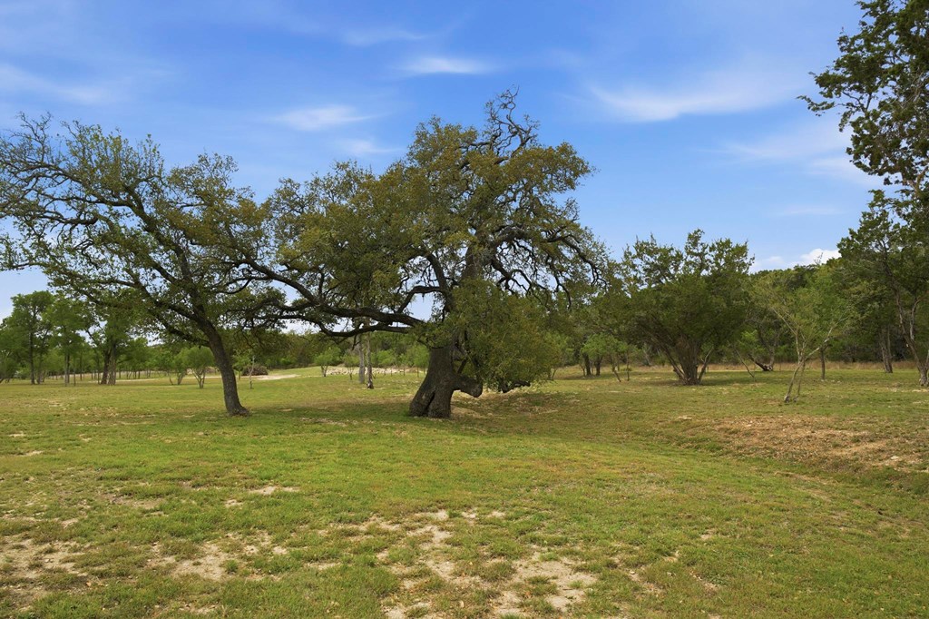 134 North Stallion Ests Drive Spring Branch, TX 78070 - Photo 48 of 67 a view of outdoor space with green field and trees