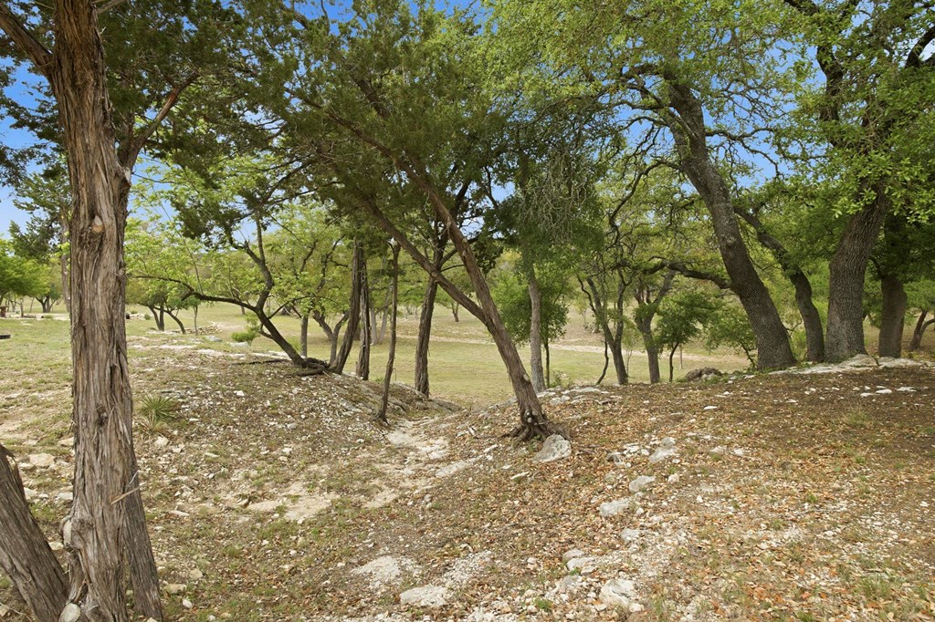 134 North Stallion Ests Drive Spring Branch, TX 78070 - Photo 49 of 67 a view of a yard with a tree