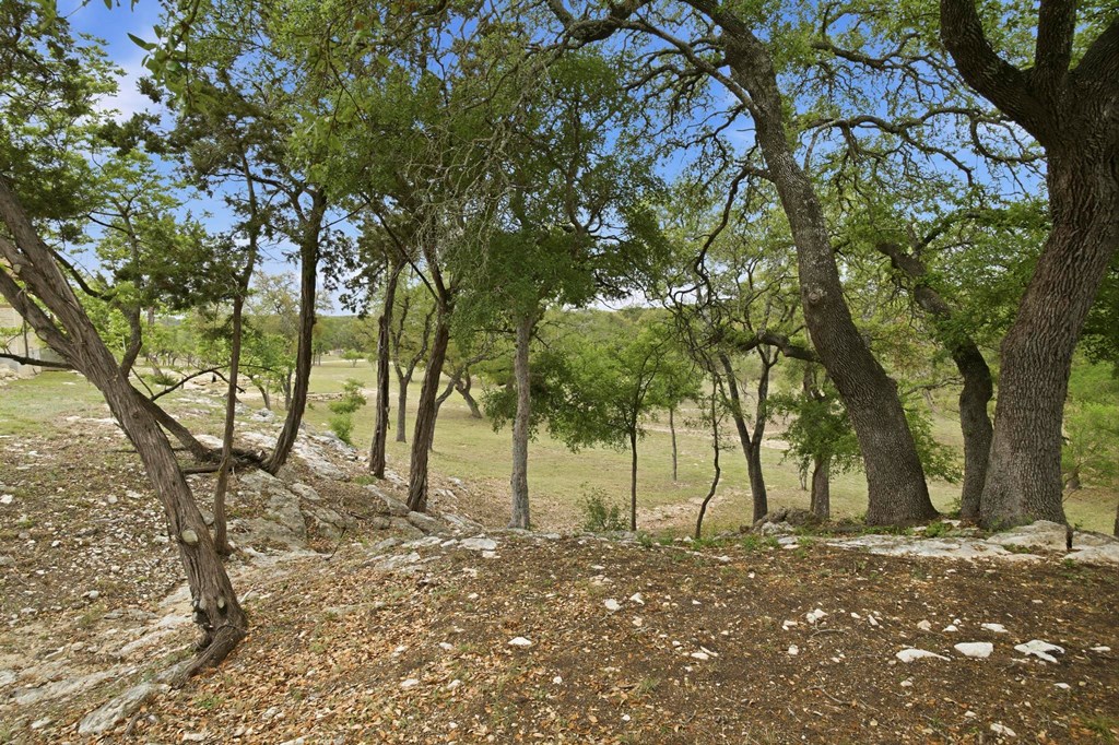 134 North Stallion Ests Drive Spring Branch, TX 78070 - Photo 50 of 67 a view of a yard with a tree