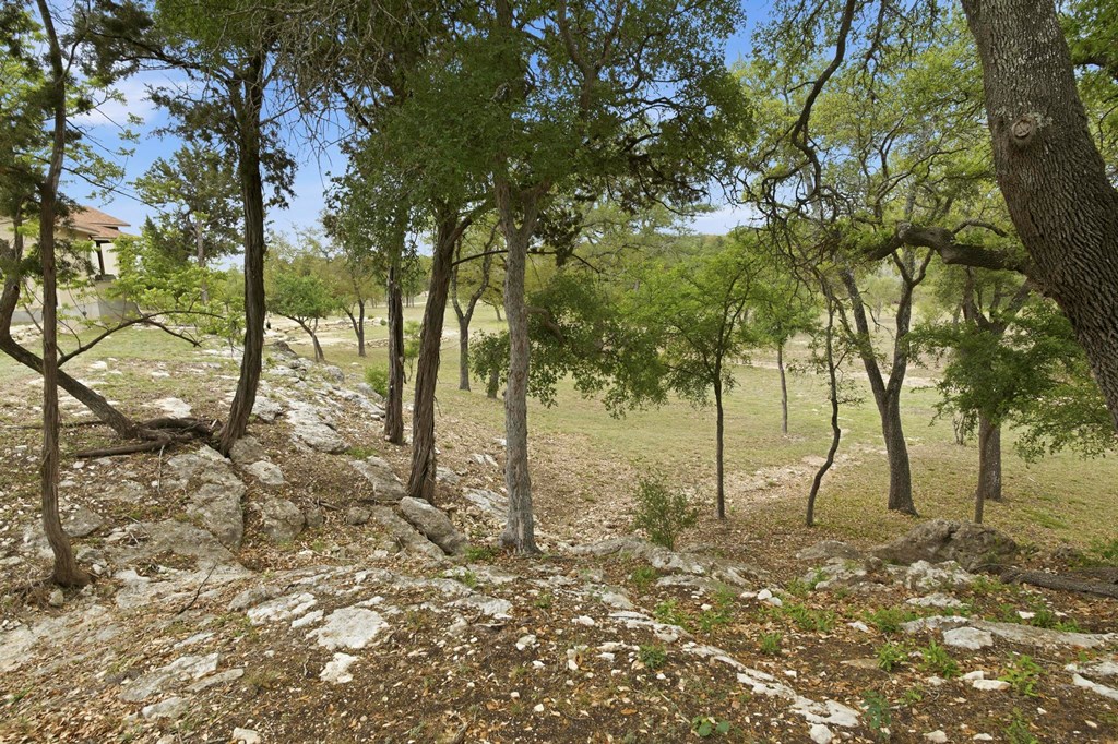 134 North Stallion Ests Drive Spring Branch, TX 78070 - Photo 51 of 67 a backyard of a house with lots of green space